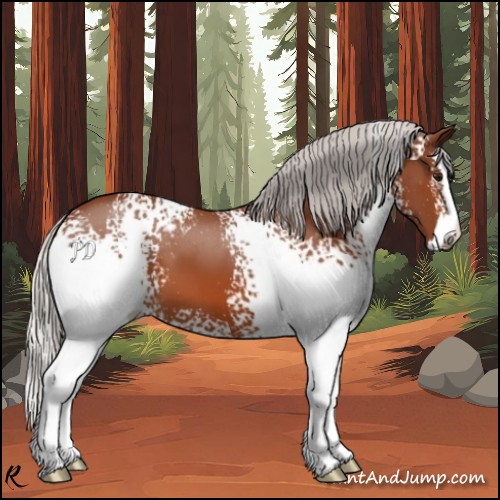 Horse Color:White Spotted Silver Bay Splash 