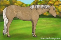 Horse Color:Silver Smoky Black 
