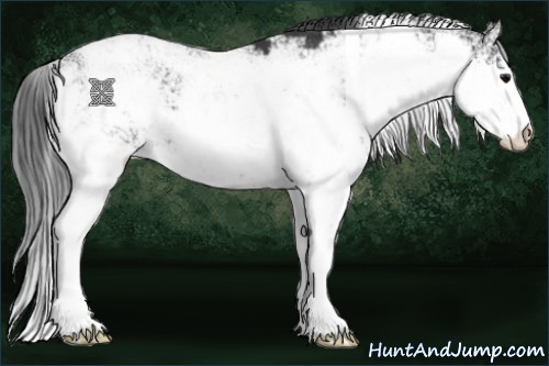 Horse Color:Black Sabino 