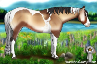 Horse Color:Bay Onyx Splash Tobiano 