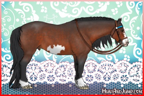 Horse Color:Brown Roan Frame 