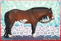 Horse Color:Brown Roan Frame