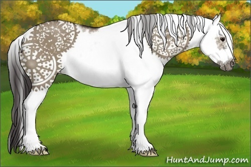 Horse Color:Smoky Grullo Sabino Splash Frame