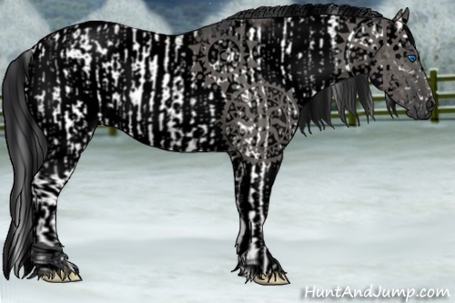 Horse Color:Grullo Sabino Splash Frame  and Void Grullo Sabino Splash Frame 