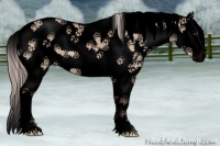 Horse Color:Void White Spotted Silver Brown Dun Splash