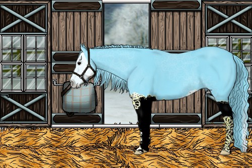 Horse Color:Watercolor Black Splash 