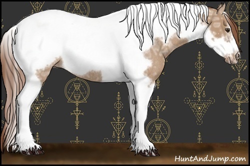 Horse Color:Red Dun Ice Tobiano Frame Rabicano 