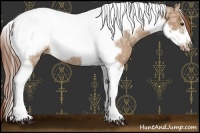Horse Color:Red Dun Ice Tobiano Frame Rabicano 