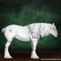 Horse Color:Black Frame 