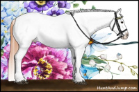 Horse Color:White Spotted Bay Dun Appaloosa 