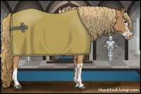 Horse Color:Chestnut  and Chestnut Splash 