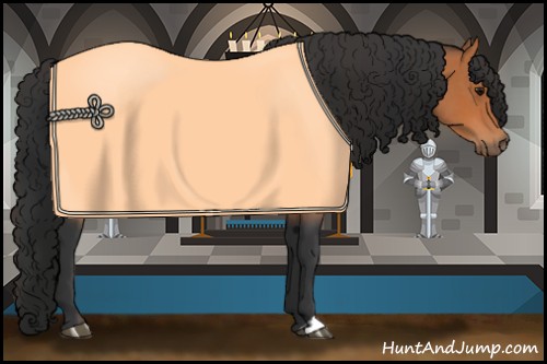 Horse Color:Bay  and Bay 