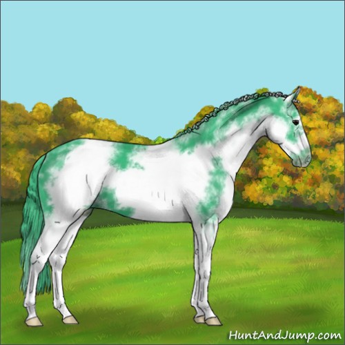 Horse Color:Watercolor White Spotted Black Frame 