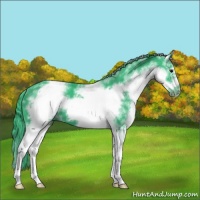 Horse Color:Watercolor White Spotted Black Frame 
