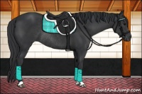 Horse Color:Black Rabicano 