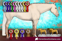 Horse Color:Silver Amber Champagne Dun Rabicano 