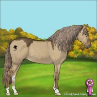 Horse Color:Chocolate Palomino Dun 