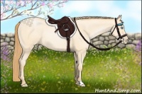 Horse Color:Buckskin Pearl Rabicano