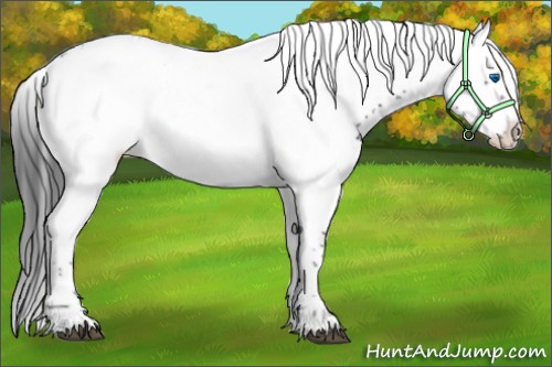 Horse Color:Black Frame