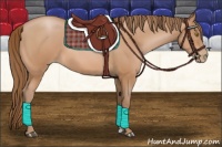 Horse Color:Bay Pearl