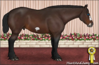 Horse Color:Gray Buckskin Frame