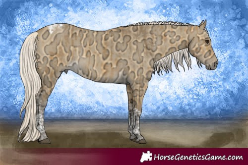 Horse Color:Silver Buckskin Ice Tobiano Rabicano  and Silver Buckskin Ice Dun Tobiano Rabicano 