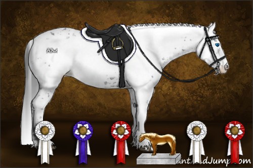 Horse Color:Black Frame Appaloosa 