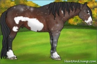 Horse Color:Brown Frame 