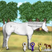 Horse Color:Liver Chestnut Frame 