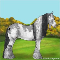 Horse Color:White Spotted Grullo Chinchilla Splash Frame Brindle