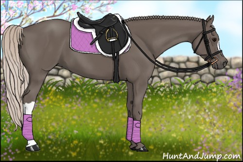 Horse Color:Silver Black 