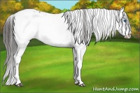 Horse Color:Liver Chestnut Frame 