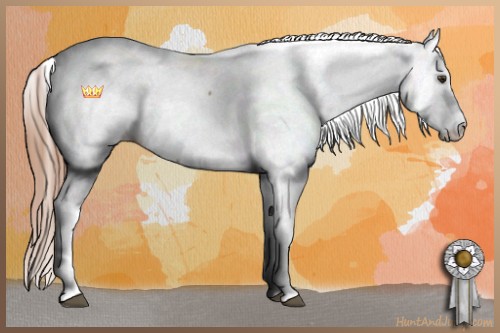 Horse Color:Red Dun Fewspot Rabicano 