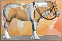 Horse Color:Silver Buckskin Splash Tobiano 