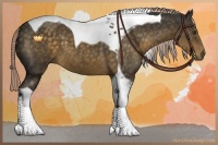 Horse Color:Chocolate Palomino Tobiano 