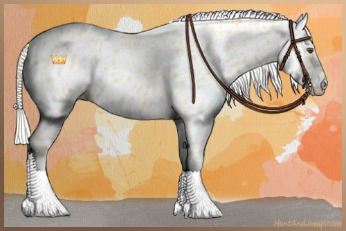 Horse Color:Palomino Dun Leopard 