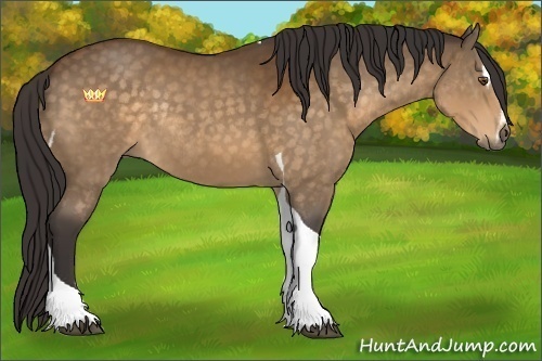 Horse Color:Buckskin Sabino Tobiano Rabicano