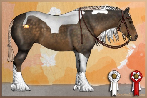 Horse Color:Chocolate Palomino Tobiano 