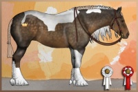 Horse Color:Chocolate Palomino Tobiano 