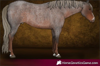 Horse Color:Liver Red Roan Mushroom 