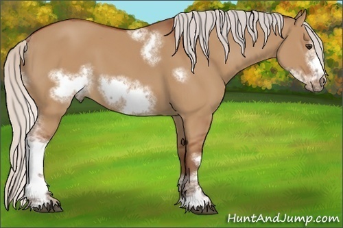 Horse Color:Silver Bay Dun Sabino Tobiano Frame Rabicano 