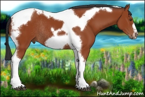 Horse Color:Bay Tobiano Frame Rabicano