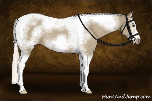 Horse Color:Chocolate Palomino Dun Sabino Splash Tobiano Frame Rabicano 