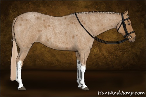 Horse Color:Chocolate Palomino Roan Tobiano Rabicano 