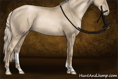 Horse Color:Chocolate Palomino Pearl Sabino Rabicano