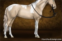 Horse Color:Chocolate Palomino Pearl Sabino Tobiano Rabicano