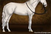 Horse Color:Cremello Sabino Tobiano Rabicano 