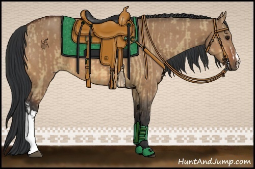 Horse Color:Bay Dun  and Bay Dun 