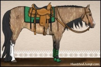 Horse Color:Bay Dun  and Bay Dun 