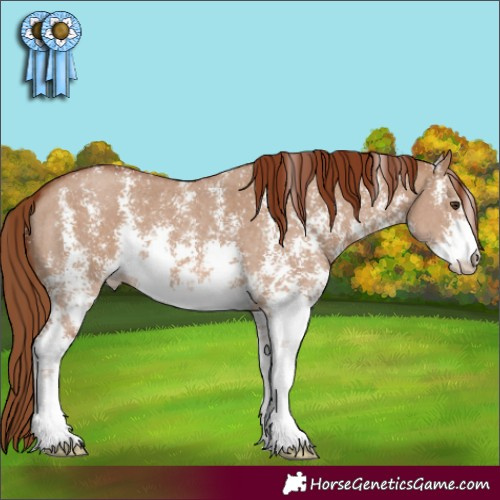 Horse Color:Red Dun Sabino 